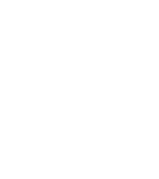 Holistic Healing